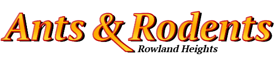 Rowland Heights Ant Exterminator & Rodent Control Company Logo